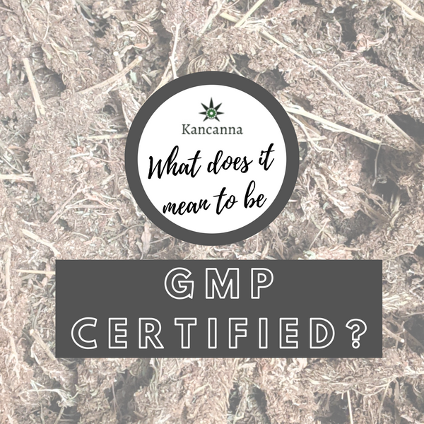 ABCs of GMP: why it's important to source CBD from certified labs